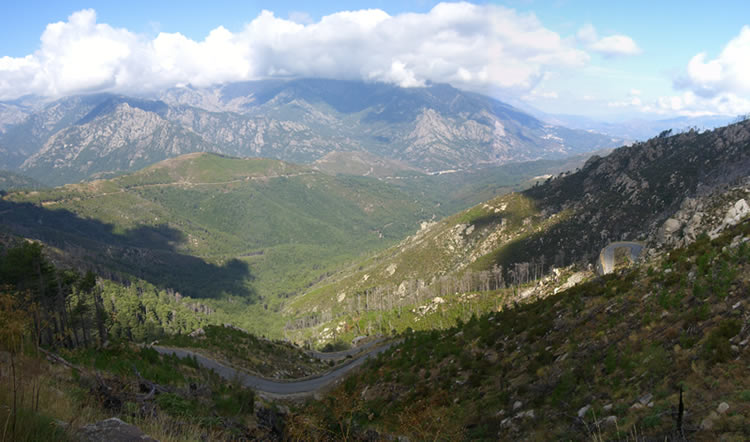 Corsica