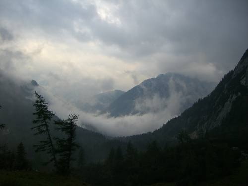 Vrsic