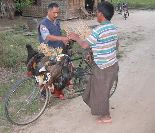 Burma