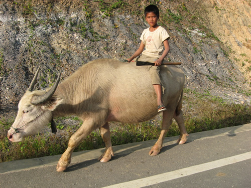 Vietnam
