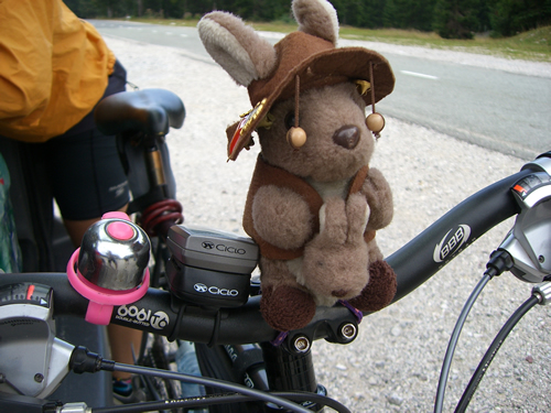 Graeme Mascot