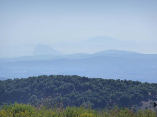 P1020438-w500-h500
