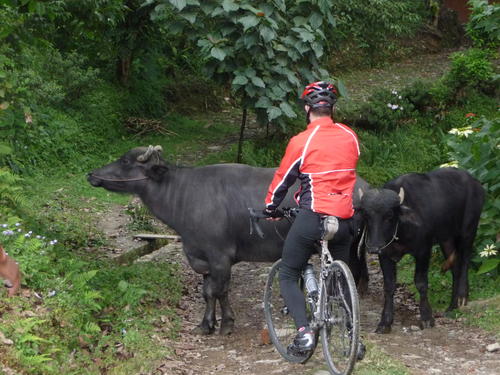 I had mechanicals while Keith had animals while trying to get out of the driveway of the Teen Taley.