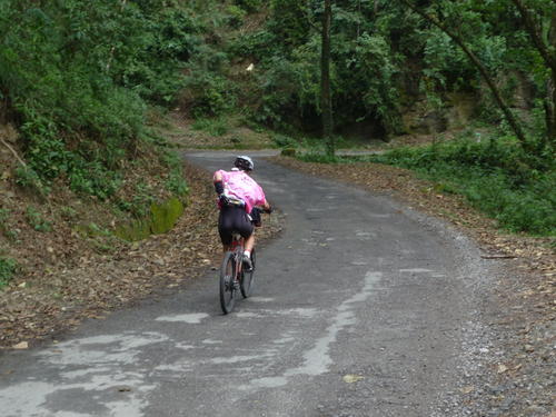 P1040601 Maryvonne making her way up to Lava