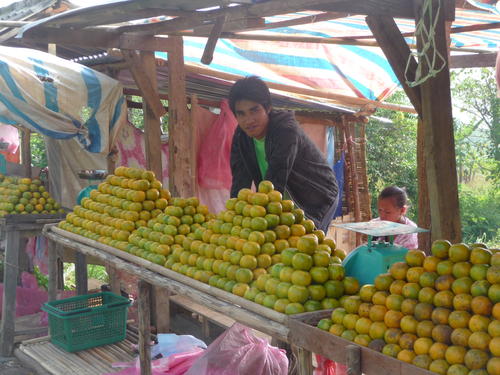 Oranges galore along the road.
