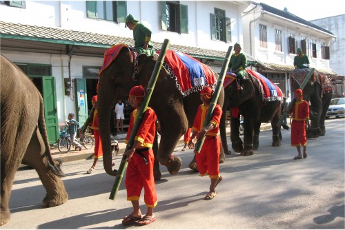 This is one of Robin and Annette's pics from back then.  I forgot all about it.  We were lucky enough to run into an Elephant Parade in Luang Prabang that year.