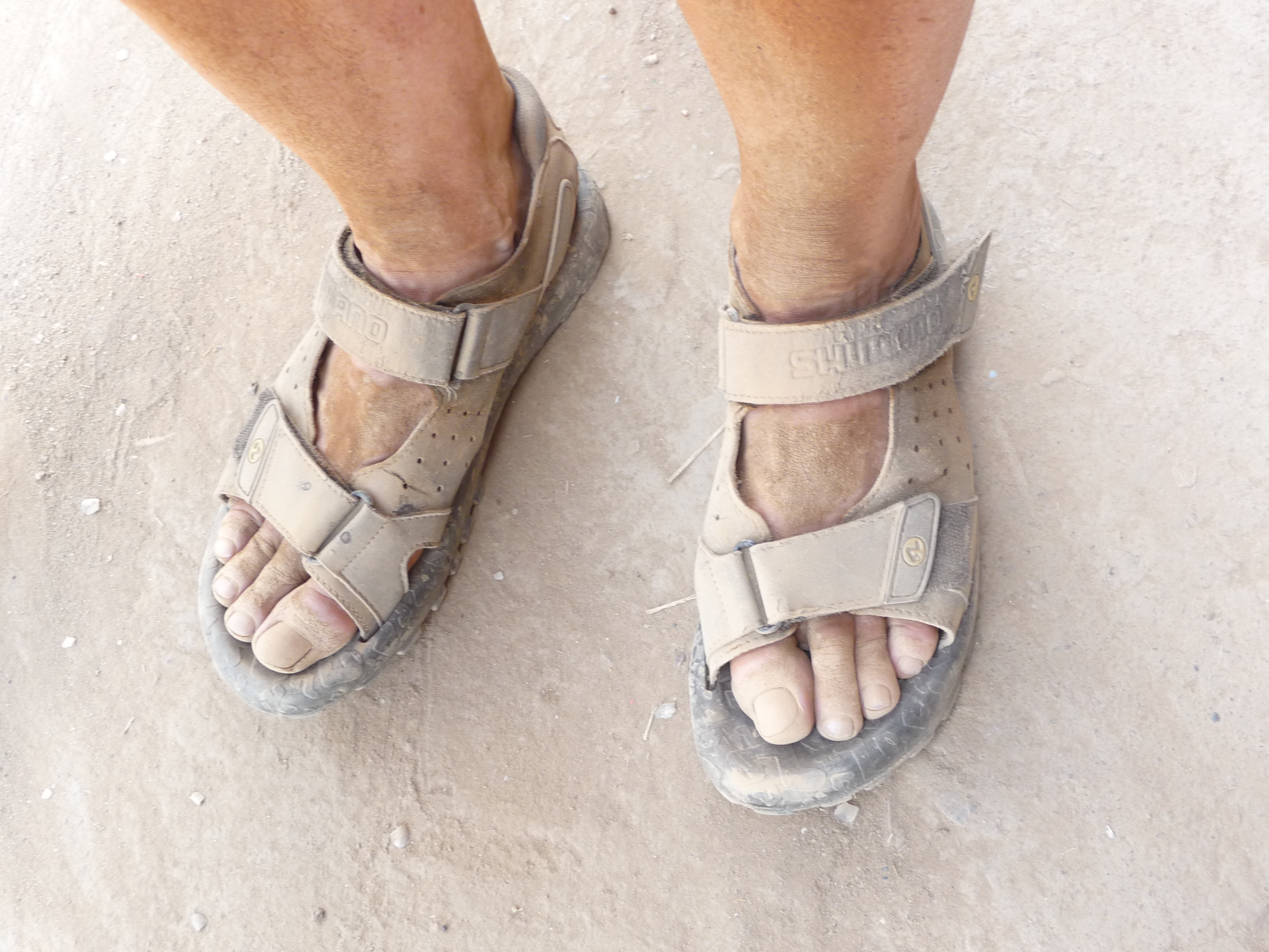 P1050383 dusty sandals.....