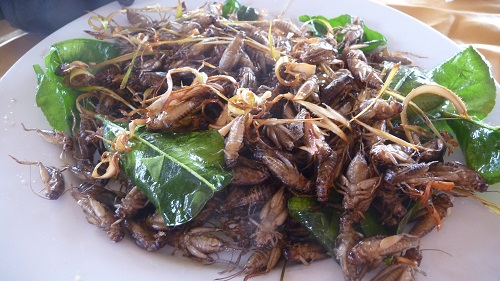 Before (cicadas)